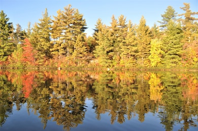 Extension unit Lake Clear Edwards N, Talcville, NY 13635 - photo 5