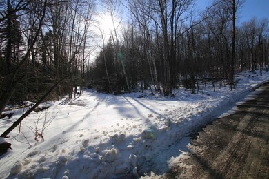 322 Sears Rd, Andover, VT 05143 - photo 7