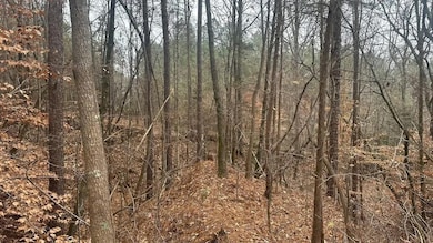 0 Tobe Wells Rd unit 25763462, Elberton, GA 30635 - photo 4