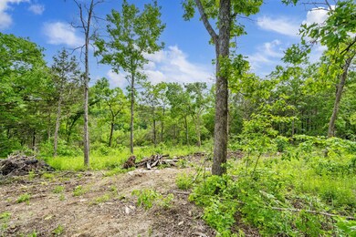 TABLE ROCK LAKEFRONT VIEW BUILD SITE