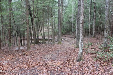 3411 Pickett Park Hwy, Jamestown, TN 38556 - photo 7