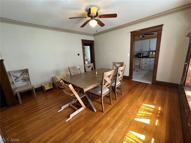 Dining room with ceiling fan, light hardwood / wood-style floors, and crown molding