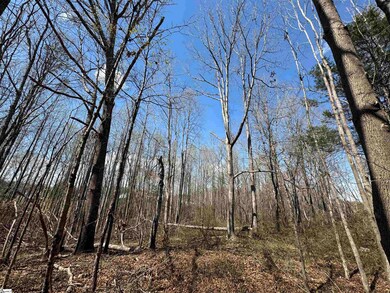 148 Chandler Ct, Greer, SC 29651 - photo 5