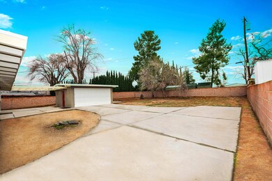 Daytime #4 - Yucca Yard From Gate
