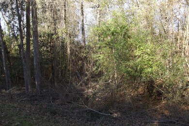 40 Dick Sumrall Rd, Laurel, MS 39443 - photo 2