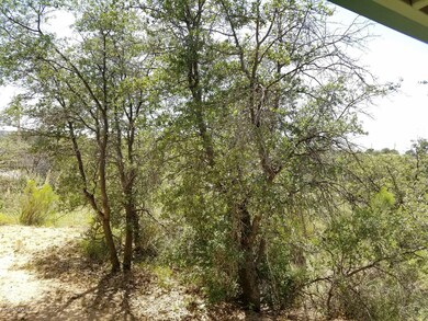 1085 White Oak view from porch looking S