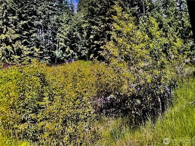 2721 158th Ave SW, Lakebay, WA 98349 - photo 2