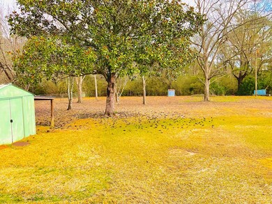 2637 Halls Mill Rd, Dothan, AL 36305 - photo 4