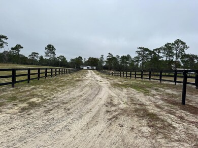 12991 SE 77 St, Morriston, FL 32668 - photo 5