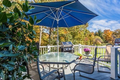 38 Flagg Dr, Bellingham, MA 02019 - photo 5