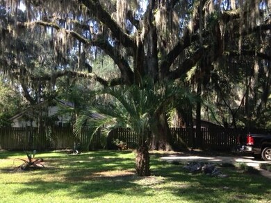 14272 Ga Highway 99, Darien, GA 31305 - photo 6