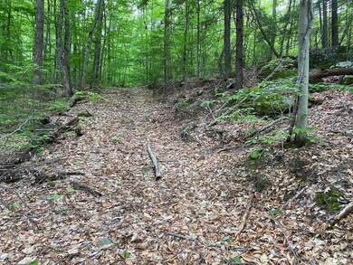 0 Old Swanzey Rd unit Map 18 Lot B004, Chesterfield, NH 03462 - photo 3