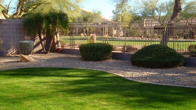 grayhawk back yard 2