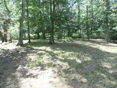 00 Winyah Cir, Tisbury, MA 02568 - photo 4
