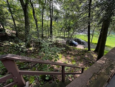 3402 Tunnel Rd, Karthaus, PA 16845 - photo 4