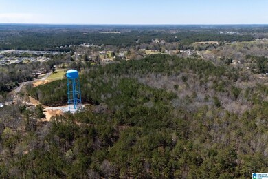 16082 House Rd, Brookwood, AL 35444 - photo 6