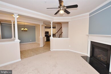 41998 Blue Flag Terrace, Stone Ridge, VA 20105 - photo 7