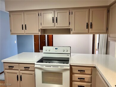 201 Stuart Dr, Spencer, OH 44275 - photo 5