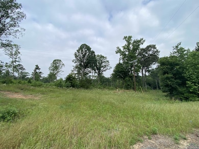 View of local wilderness