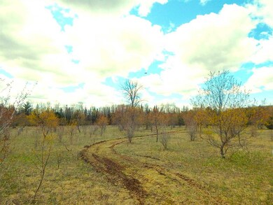 0 Howard Rd, Chandler Township, MI 49713 - photo 3