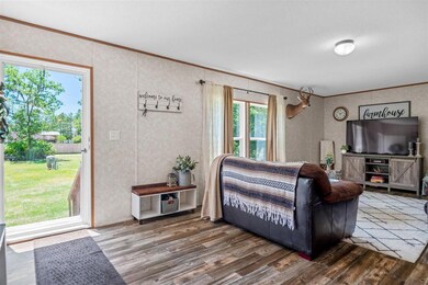 3916 June Bug Ln, Middleburg, FL 32068 - photo 3