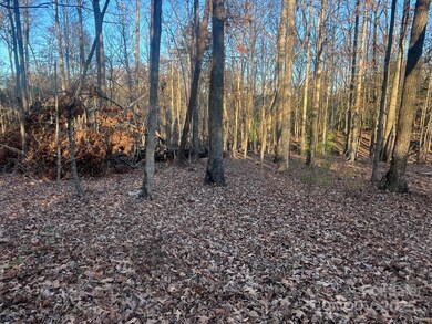 000000 Pinnacle Church Rd, Nebo, NC 28761 - photo 7