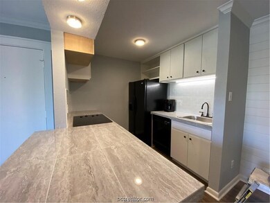 Cripple Creek Condos unit 7, College Station, TX 77840 - photo 2