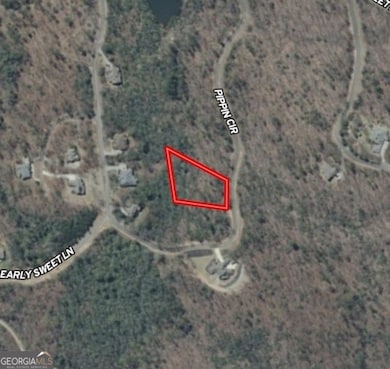 0 Orchard Dr unit 18, Clarkesville, GA 30523 - photo 4