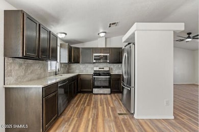 4221 Independence Loop, Las Cruces, NM 88005 - photo 3