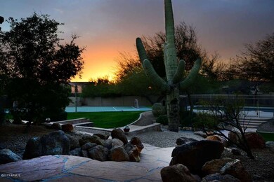 Night-Backyard