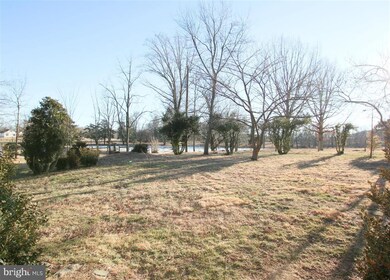 15563 Hillsboro Rd unit B, Purcellville, VA 20132 - photo 4