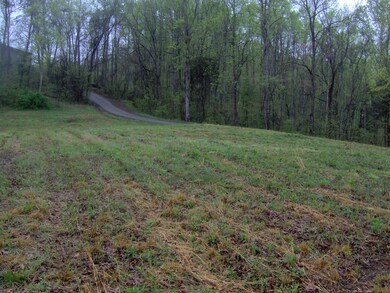 141 Williams Ridge, Rutledge, TN 37861 - photo 7