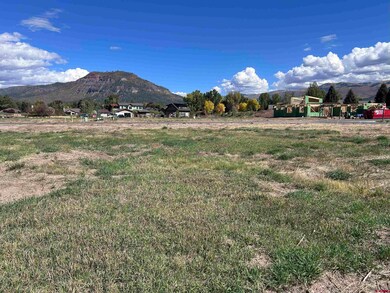 42 Fairway Dr, Durango, CO 81301 - photo 4