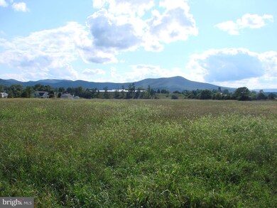 0 Log Cabin Dr unit 1000974219, Stanley, VA 22851 - photo 6