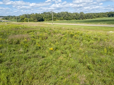 0 N Willowbrook Rd unit 24042121, Coldwater, MI 49036 - photo 5