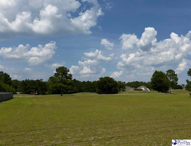 Lot 5 Southborough Rd, Darlington, SC 29532 - photo 3