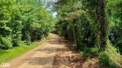 0 Attala Rd 3217 New Salem Rd, Kosciusko, MS 39090 - photo 3