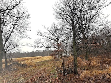 1141 12th Ave, Barron, WI 54812 - photo 5