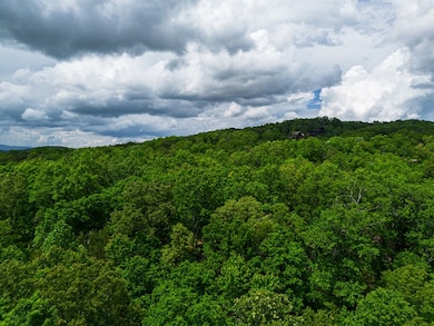 Tract 1 Century Ln, Blue Ridge, GA 30513 - photo 4