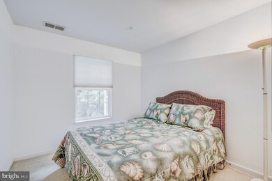 11431 Manklin Creek Rd unit 8F1, Berlin, MD 21811 - photo 7