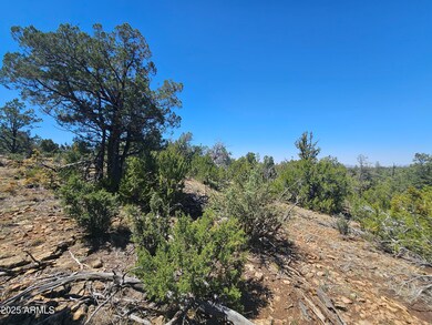 3662 Sunset Ridge Loop unit 143, Blue Ridge, AZ 86024 - photo 7