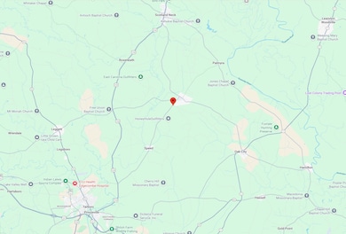 Mayo Farm Rd, Hobgood, NC 27843 - photo 3