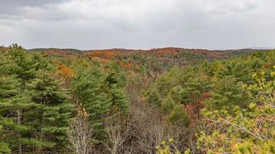 138 Bowater Rd, Tellico Plains, TN 37385 - photo 3