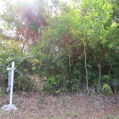 12348 Dolphin Rd, Pine Island Center, FL 33922 - photo 4