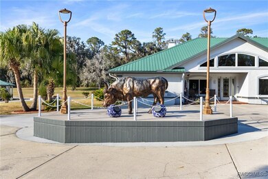 255 SW 96th Ln, Ocala, FL 34476 - photo 7