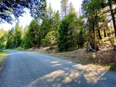 Road View