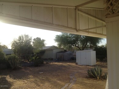 Back/Shed