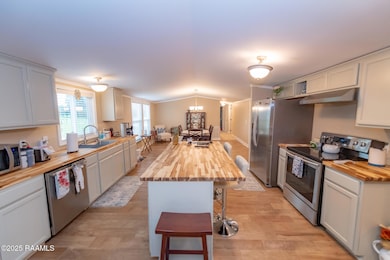 178 El Shaddai Rd, Opelousas, LA 70570 - photo 3