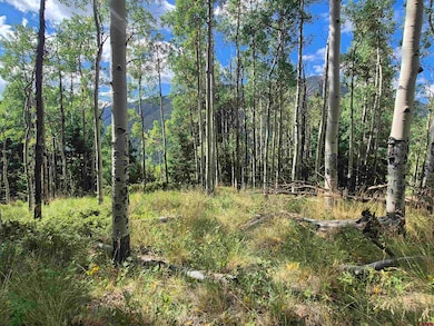 Blk 89 Lots 4-6, Jasper, CO 81144 - photo 6