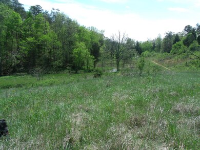 open field